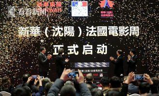 八卦爆料集合视频下载,视频下载攻略全解析